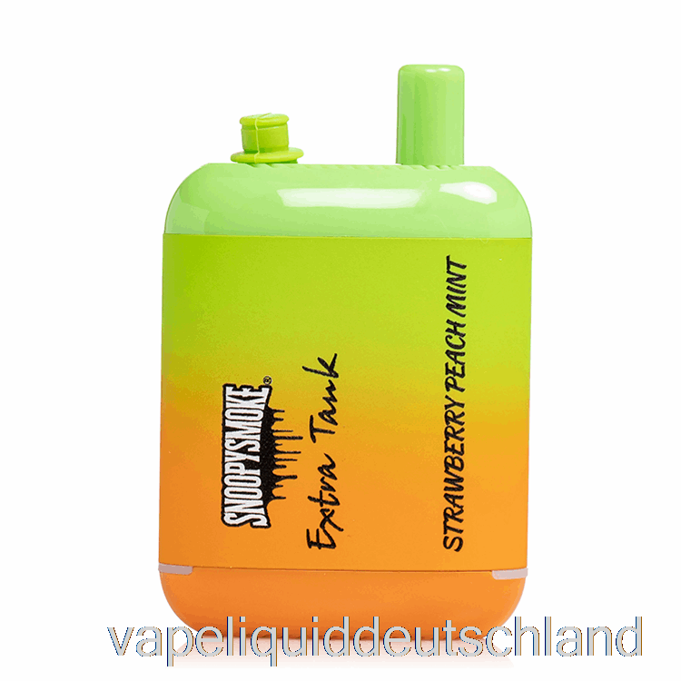 Snoopy Smoke Extra Tank 2 15000 Einweg-Erdbeer-Pfirsich-Mint-Vape Deutschland